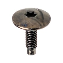 Peugeot, Citroen İçin Torx Uyumlu Davlumbaz T30 M6 Vidası