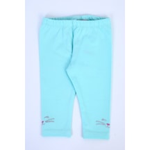 Mint Yeşili