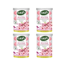 Kiraz Çiçeği & Doğal Minareller X4 Kutu Diğer