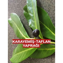 250 Gram Karayemiş-taflan-laz Kirazı Yaprağı Günlük Dalından Top