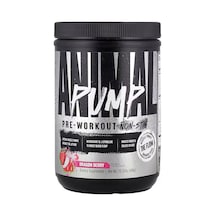 Universal Animal Pump Preworkout Non-stim Dragon Berry 440 G