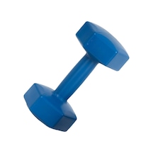 1 Kg Dambıl Ağırlık 1 Kg 1 Adet