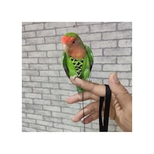 Taban Örtüsü 3x10 Metre Sera Taban Örtüsü Jüt Siyah Taban Örtüsü Malçlama Örtüsü Yer Örtüsü