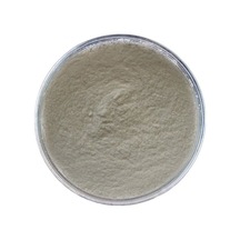 Alfasol Karboksimetil Selüloz (CMC) 100 G
