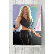 Shakira Posteri 2