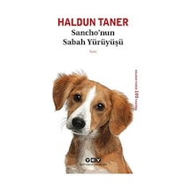 Haldun'un Sabah Yürüyüşü, Edebi Bir Yolculuk