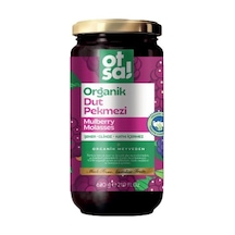 Otsa Organik Dut Pekmezi 620 G.