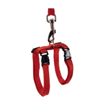 Hnrlıshp Beeztees Kedi Göğüs Tasması Ve Gezdirme Kayışı, 130cm, Kırmızı
