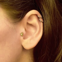 Lilarote Taşlı Yunus Balığı Tragus Küpe