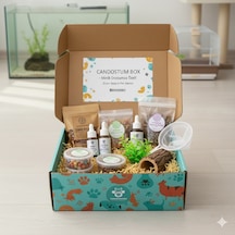 Candostumbox Balık Hediye Kutusu Akvaryum Balıkları İçin Aksesu