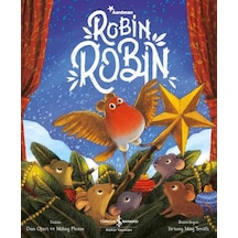 Robin Robin - Dan Ojari - İş Bankası Kültür Yayınları