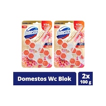 Domestos Tuvalet Bloğu Yıldız Çiçeği Ejder Meyvesi 2 x 100 G