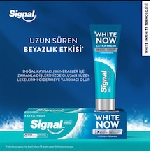 Signal Diş Macunu White Now Extra Fresh 75 Mı