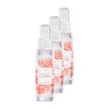 Celebre Kadın Vücut Spreyi 100 Ml. Üçlü Set