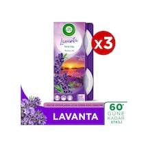 Lavanta