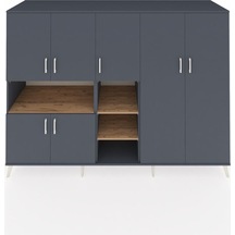 Antrasit - Antrasit - Çam