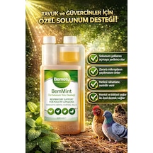 Bemoty Bemmınt 500 Ml