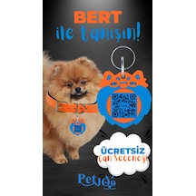 Petjoo 13.Bert Mavi-Turuncu Qr'lı Köpek Künyesi