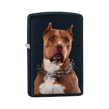 Zippo Çakmak Pit Bull with Collar - Black Matte 79845