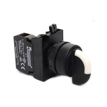 Emas Cp101s30 Cp Serisi Plastik 2no Iı-0-ı 60 Seçici Kalıcı 22 Mm Buton