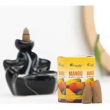 Aromatika Mango Aromalı Geri Akışlı Şelale Tütsü