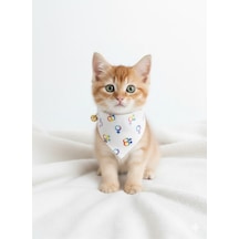 Flypet Karışık Desen Fular Kedi Tasma & Yavru Köpek Tasma 13cm-24cm Ayarlanabilir Tasma