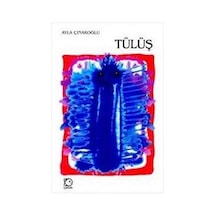 Tülüş - Ayla Çınaroğlu - Uçanbalık Yayıncılık