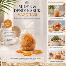 Poşetli Renkli Mix Midye - Deniz Kabuk Vazo Taşı 5468