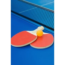 Masa Tenisi Raketi 2 Raket + 3 Top Kaliteli Kaydırmaz Ahşap Raket Table Tennis
