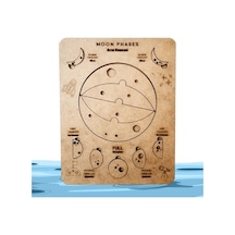 Moon Beavers Ayın Evreleri Ahşap Eğitici Oyun