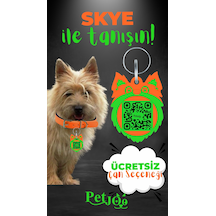 Turuncu