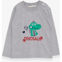 Breeze Erkek Bebek Uzun Kollu Tişört Dinozor Nakışlı 9 Ay-3 Yaş, Gri Melanj Gri Melanj