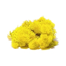 Reindeer Moss Sarı Şoklanmış Norveç Yosunu 30gr