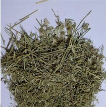 Acı Ot 250 Gr Aktar Depo Diğer