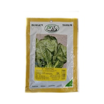 Bt Yeşim Pazı Tohumu 10 GRam Geniş Yaprak