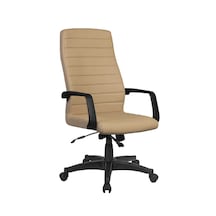 Demirbaş Dk-36 Yönetici Koltuğu