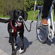 Trixie 1287 Bisiklet Için Köpek Yürütme Aparatı