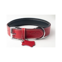 Privilege Hakiki Deri Köpek Boyun Tasması M Kırmızı 3 x 38-47 CM Kırmızı