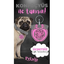 Petjoo 9.Konfüçyüs Pembe-Gri Qr'lı Köpek Künyesi