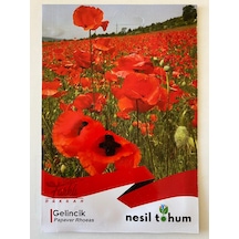 Gelincik Çiçeği Çiçek Tohumu 50 Adet