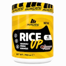 Mustang Nutrition Rice Up Pirinç Kreması 750 Gr 15 Servis Çikolata