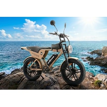 Ape Ryder Genon Ultra 750w Elektrikli Bisiklet Ayna Çanta Ve El Gazı Sarı