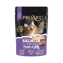 Pro Art Jöleli Somonlu Kısır Kedi Poşet Maması 85 G