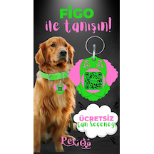 Petjoo 27.Figo Pembe-Yeşil Qr'lı Köpek Künyesi