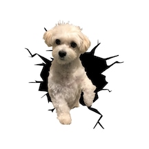 Maltese Araba Sticker Yapıştırması Model2 18Cm