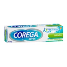 Diş Protezi Yapıştırıcı Krem Naneli 40 Gr 1 Adet