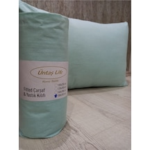 Mint Yeşili