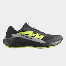 Salomon L47802000 Alphaglide Gore-tex Erkek Koşu Ayakkabısı Renkli