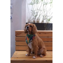 Hayvan Desenli Köpek Fuları Bandanası Köpek Kıyafeti Yeşil Xs