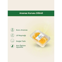 Ananas Kurusu Dilimli-7589